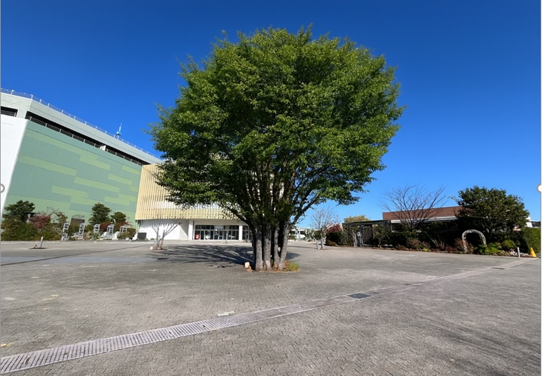 ｜イーアスつくば