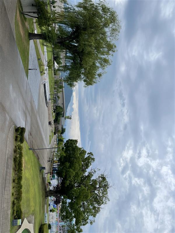 ｜武生中央公園