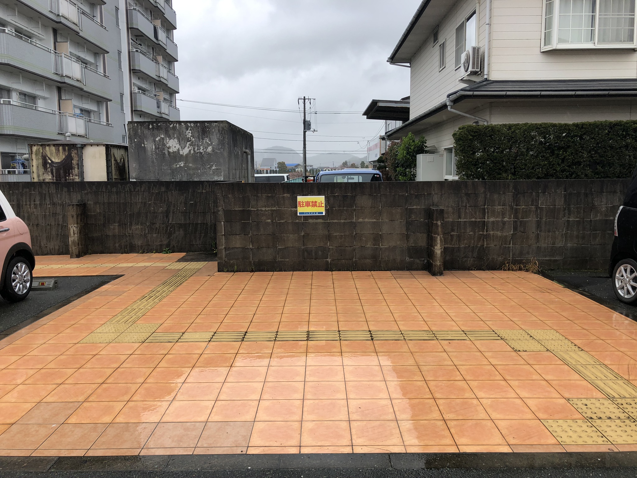 ｜フレスポ大洲