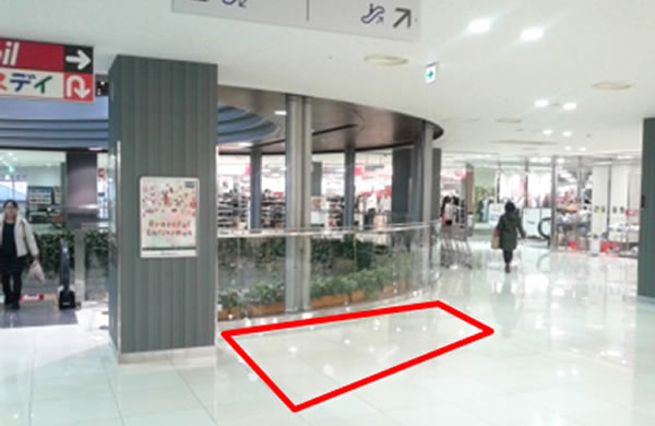 ｜フレスポしんかな